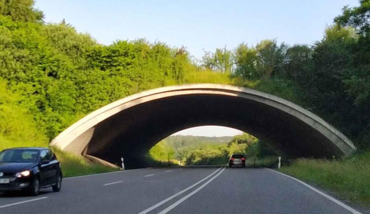 Ponti verdi: connessioni sicure tra natura e infrastrutture - Esempio di un ponte verde (Green Roof Technology foto) - www.buildingcue.it