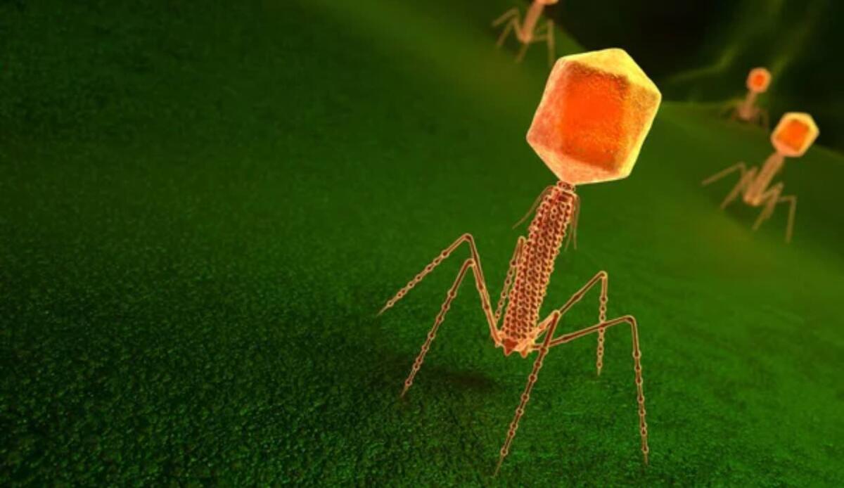 Un’eredità pericolosa: come i virus di milioni di anni fa influenzano la salute di oggi - Virus in azione (Depositphotos foto) - www.biomedicalcue.it