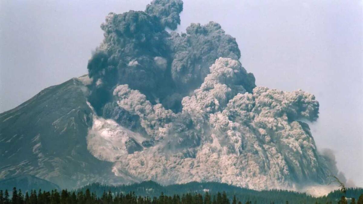 18 maggio 1980, cosa ci ha insegnato l'eruzione del Monte Saint Helens - L'evento eruttivo del 1980 (Western Washington University foto) - www.sciencecue.it