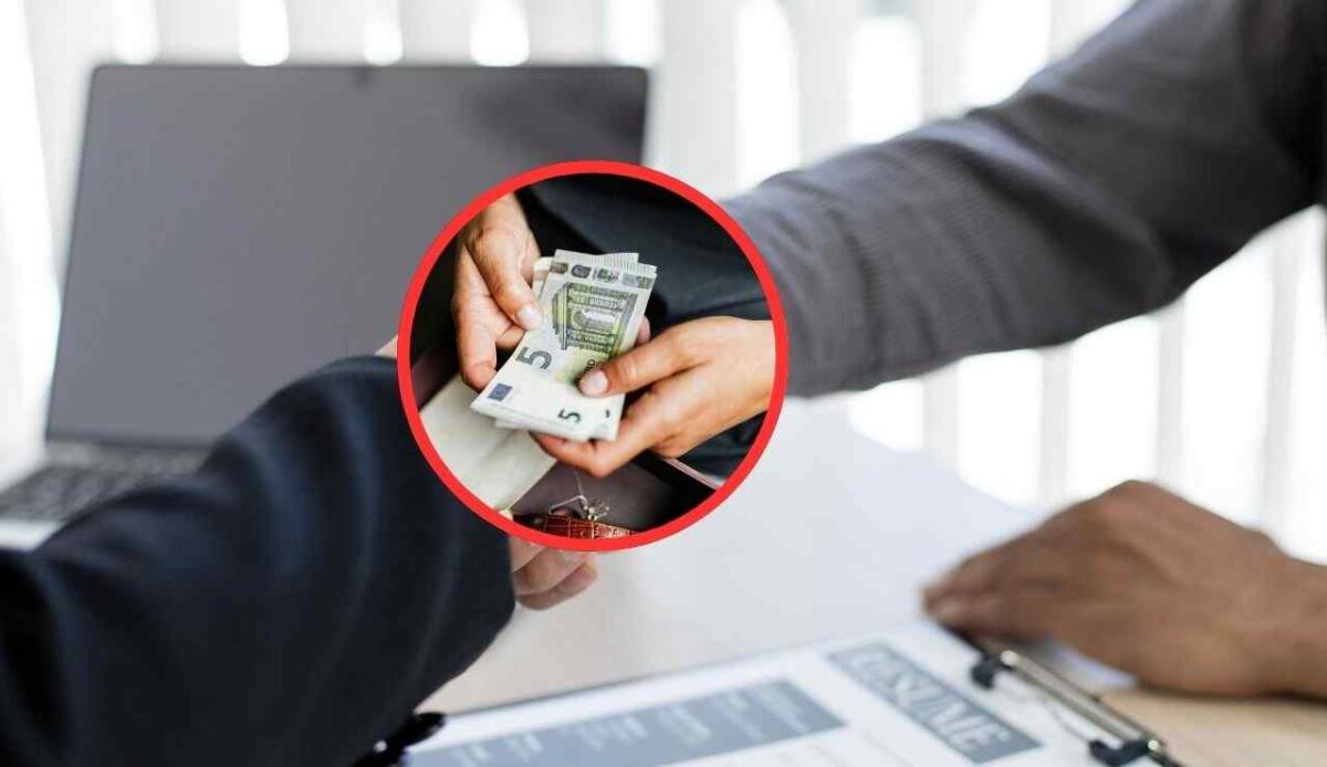 Cuneo fiscale, cambia tutto nel 2025: chi guadagna e chi perde davvero - Denaro che resta allo Stato tra datore di lavoro e dipendente (Canva Foto) - www.financecue.it
