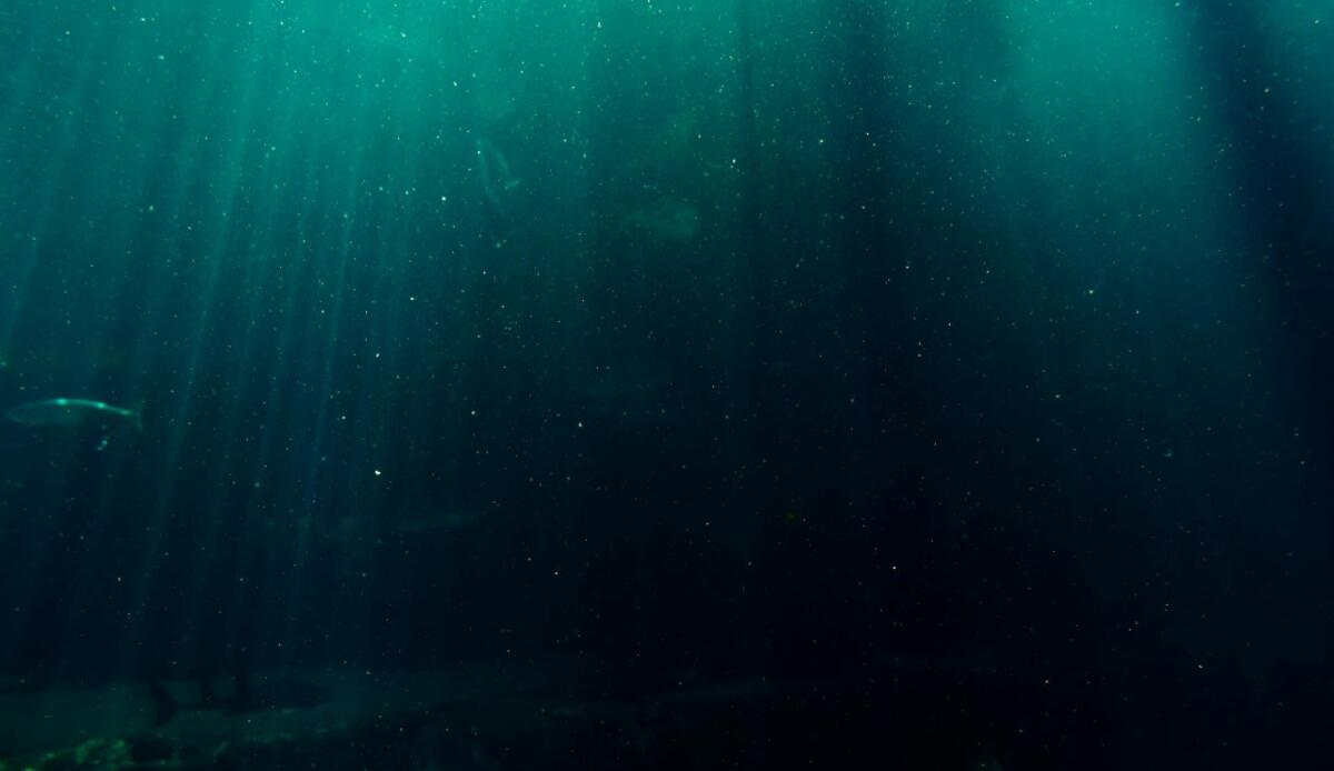 Un’anomalia nei sedimenti del Pacifico rivela un picco di berillio-10 inatteso - Illustrazione delle profondità marine (Pexels FOTO) - www.marinecue.it