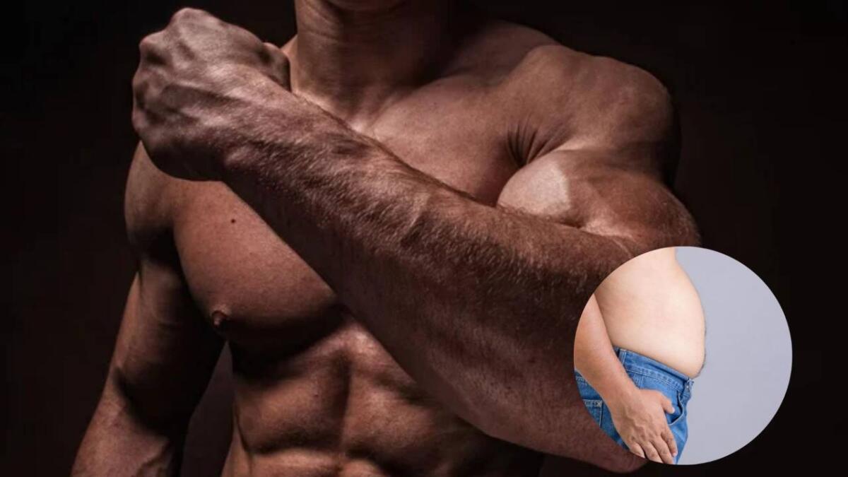 Il grasso nascosto nei muscoli aumenta il rischio cardiaco, indipendentemente dal BMI - Grasso nei muscoli (Canva/Depositphotos foto) - www.biomedicalcue.it