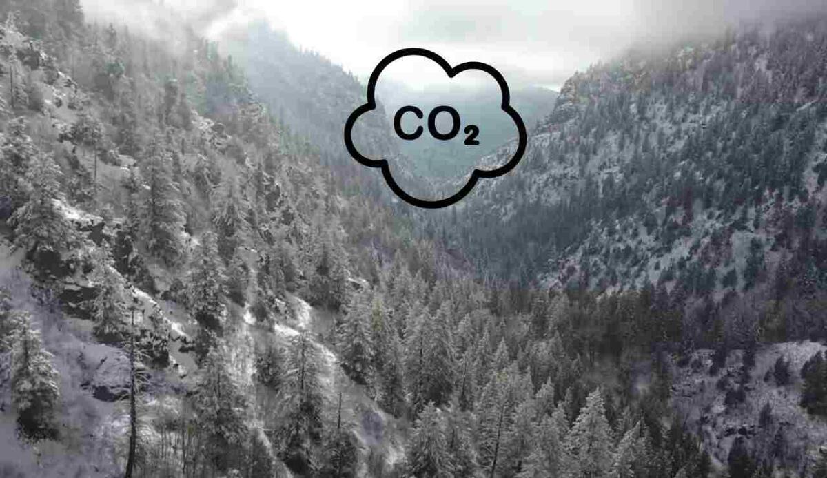 Dal 2002 al 2019, le foreste del Colorado non sono più un serbatoio di carbonio ma una fonte di emissioni - Foreste Colorado (screenshot Destination Paradise/YouTube - Canva) - www.energycue.it