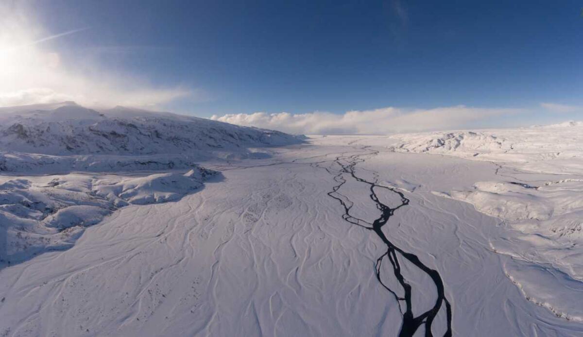 L’unico insetto dell’Antartide ha un’arma segreta contro il freddo: quiescenza e diapausa - L'Antartide regala una fauna particolarmente ricca (freepik.com) - www.sciencecue.it