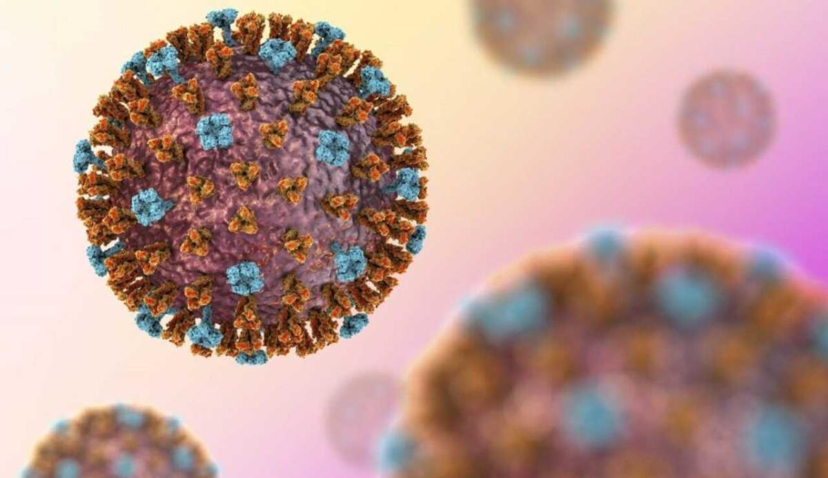 Influenza A: il virus si trasforma per eludere il sistema immunitario - Germe dell'influenza A (UniSR foto) - www.biomedicalcue.it