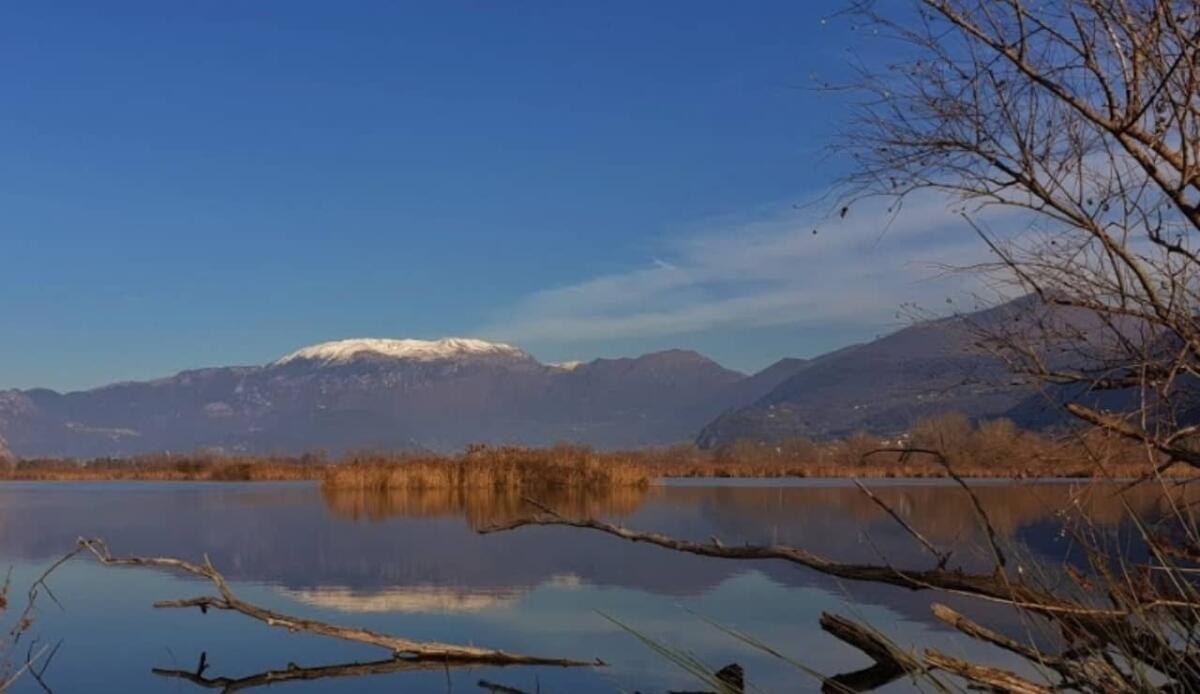 Mangrovie e torbiere: il segreto del Sud-Est asiatico per tagliare le emissioni di CO₂ - Torbiere e mangrovie, rischi e ricchezza per l'ambiente (YouTube Foto) - www.energycue.it