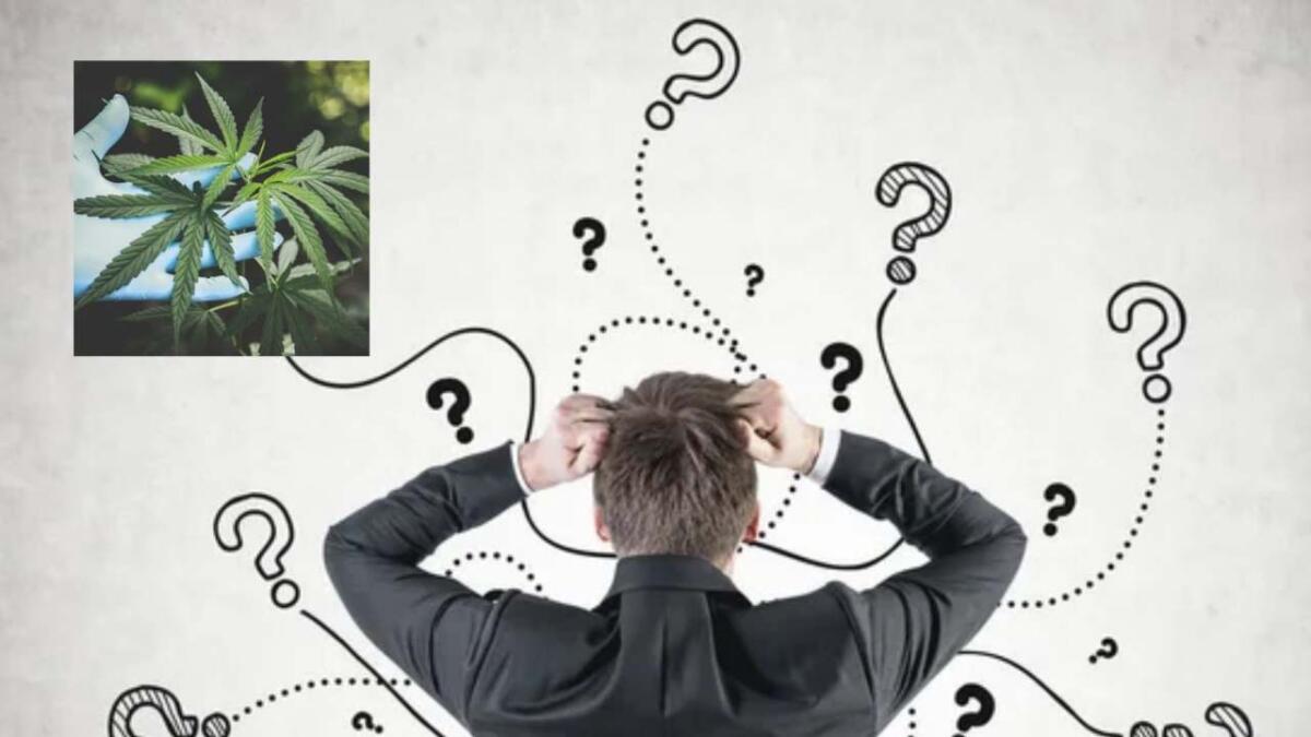 Memoria e cannabis: uno studio su oltre 1.000 giovani adulti mostra effetti preoccupanti - Gli effetti della cannabis sulla mente (Canva/Depositphotos foto) - www.biomedicalcue.it