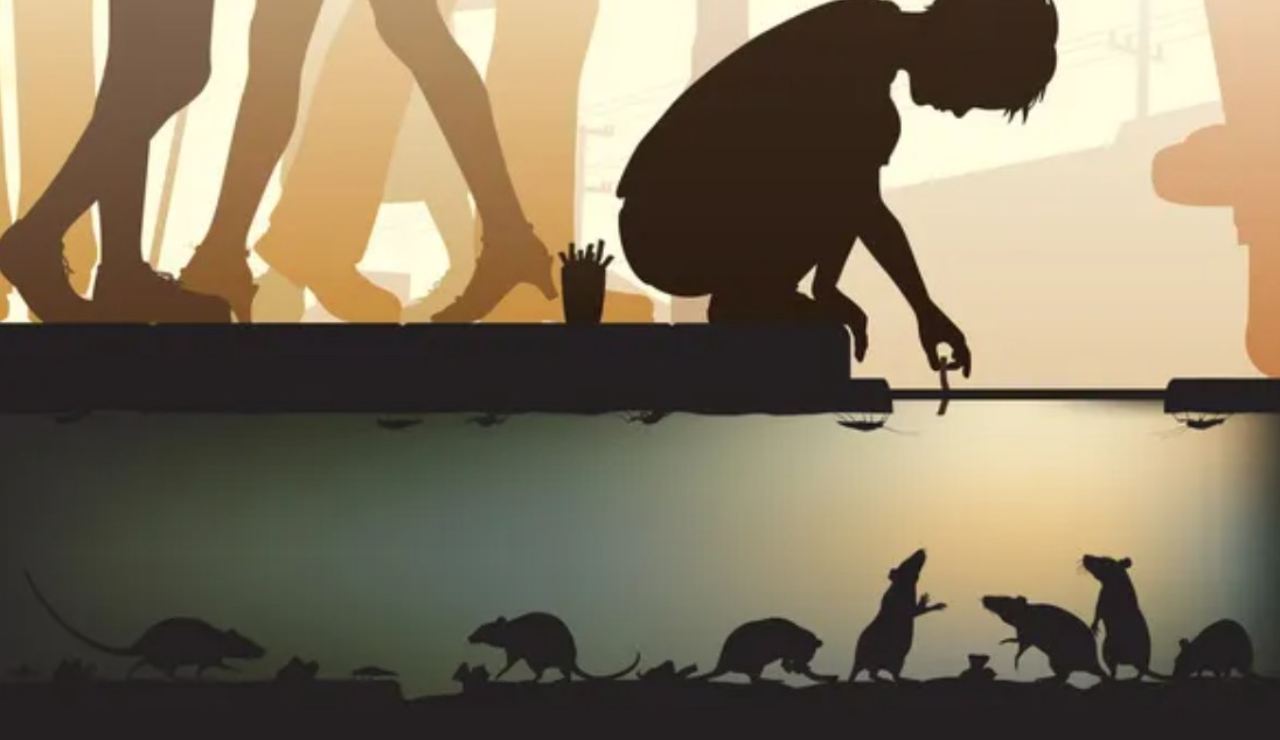 Illustrazione di ratti nelle fogne (Depositphotos foto)