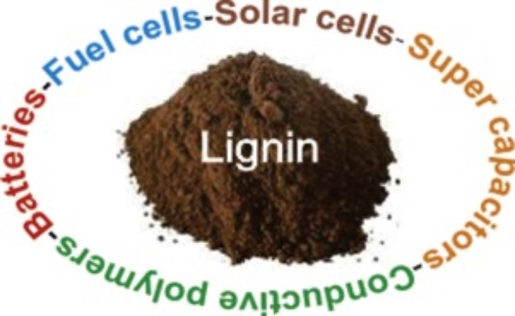 La lignina (Science Direct foto)