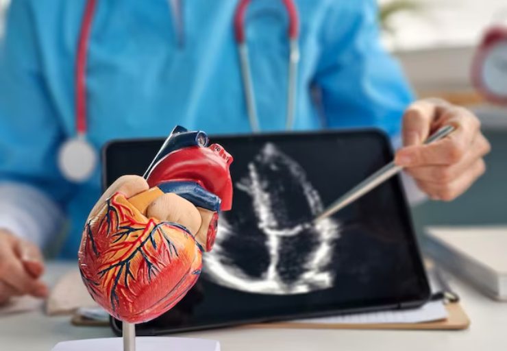 Correlazione con le patologie cardiache (Freepik foto) - www.biomedicalcue.it