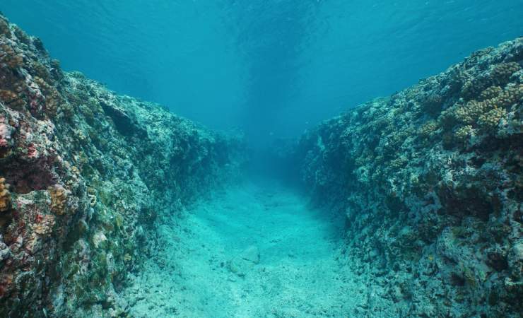Fondale dell'oceano (Canva foto) - www.sciencecue.it