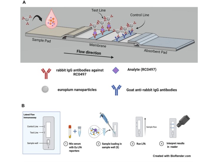 Schema di funzionamento del test (PLOS ONE foto) - www.biomedicalcue.it