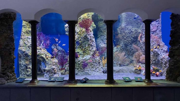 L'Aquarium all'interno della Stazione (Aquarium foto) - www.marinecue.it