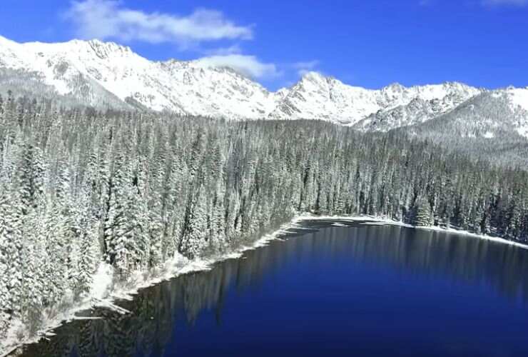 Foreste Colorado