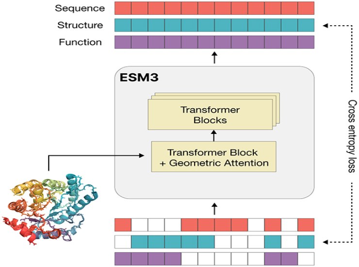 Lo schema della proteina esmGFP (Evolutionary Scale) - SystemsCUE