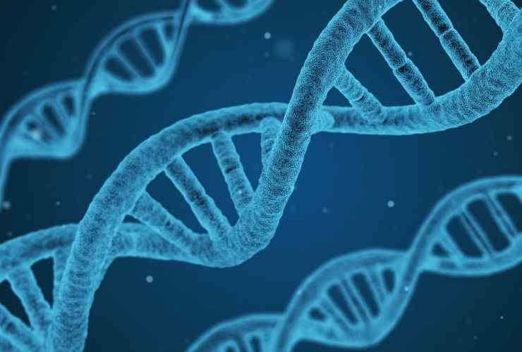 DNA