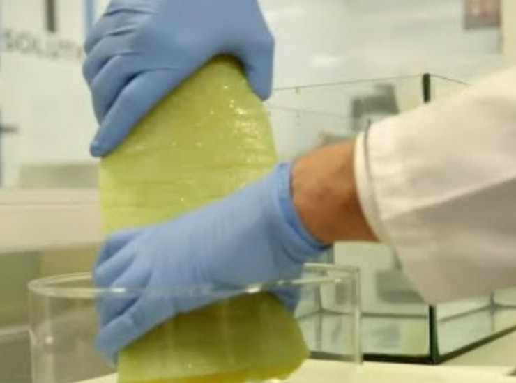 Spugna creata in laboratorio