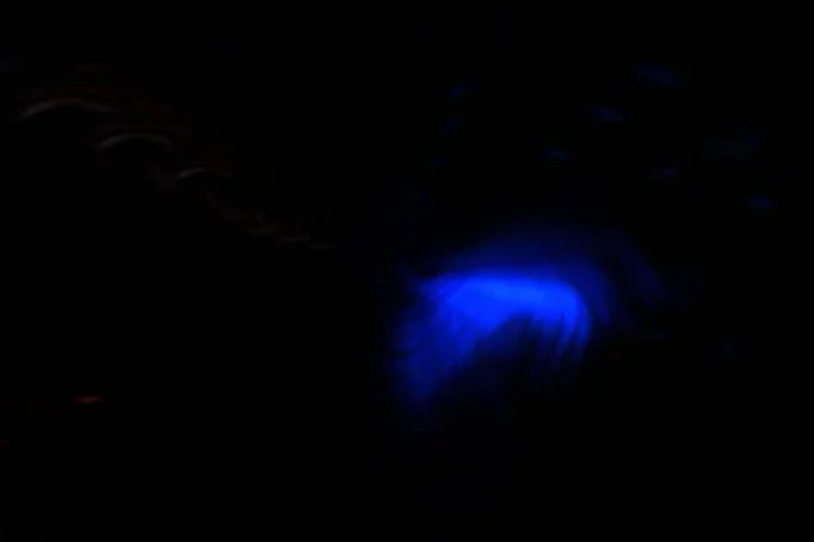 Fenomeno della bioluminescenza (Depositphotos foto) - www.sciencecue.it
