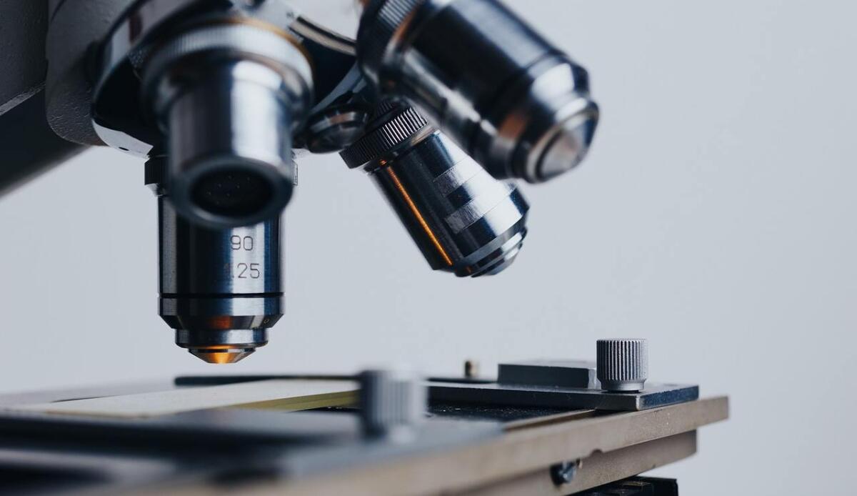 Scienza, è stato creato un microscopio "Ibrido" per "spiare" le molecole in 3D - Illustrazione di un microscopio (Pixabay FOTO) - www.systemscue.it