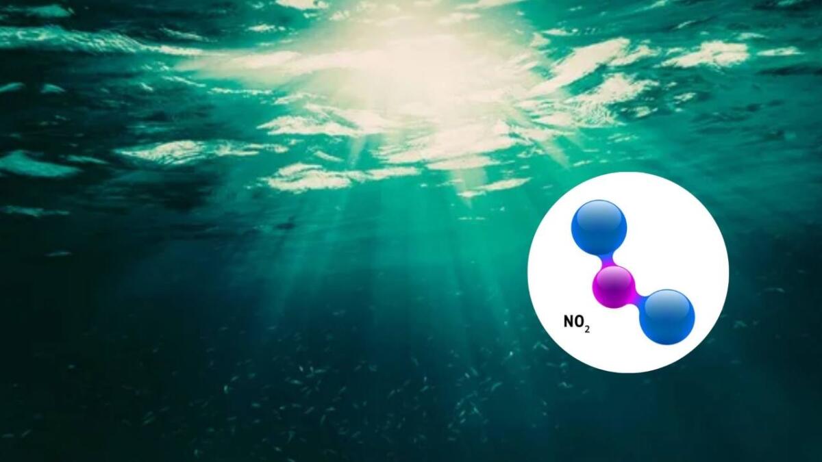 Il ciclo dell’azoto oceanico: la fissazione dell’azoto negli oceani avviene anche in profondità - Azoto nell'ambiente oceanico (Canva/Depositphotos foto) - www.marinecue.it