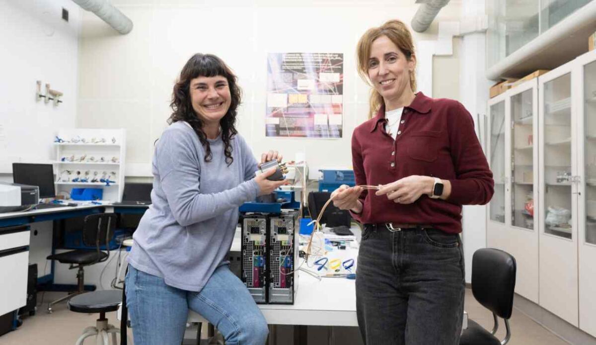 Dai rifiuti di segheria alle batterie: elettrodi in carbonio per immagazzinare energia ad alta potenza - Recupero materiali per batterie sostenibili, lo studio (ehu.eus) - EnergyCUE