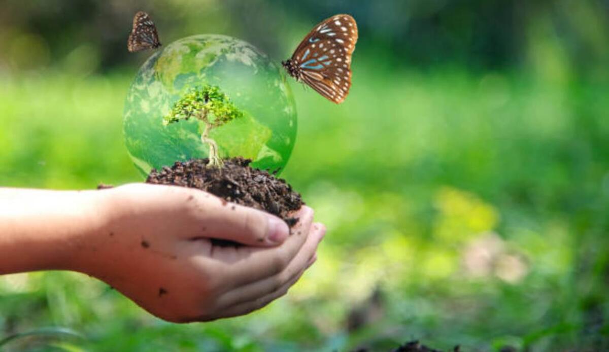 Biodiversità a rischio: il ripristino ambientale in Europa potrebbe spostare la deforestazione in Sud America e Africa - Biodiversità a rischio (Freepik foto) - www.sciencecue.it