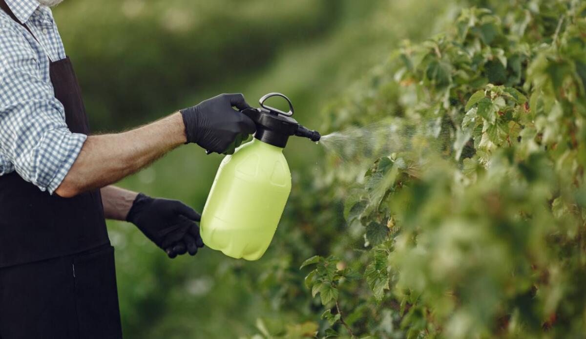 Ridurre i fertilizzanti chimici del 30% entro il 2050? il giappone punta sul riciclo di fosforo e azoto - Fertilizzanti chimici, la riduzione e la rivoluzione (Freepik Foto) - www.energycue.it