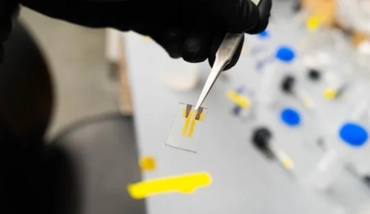 Sensori bioelettronici 7.000 volte più sensibili: il metodo rivoluzionario della Rice University - Sensori bioelettronici, test ed esperimenti per migliorarli (news.rice.edu) - SystemsCUE