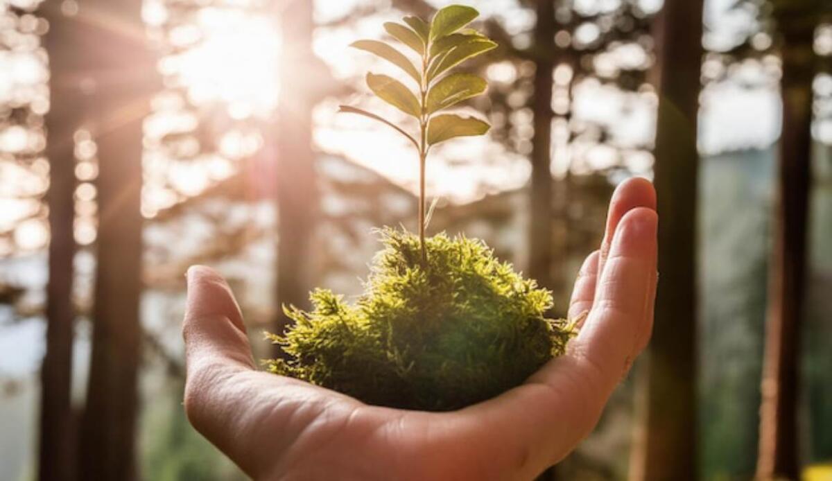 Un’industria da 40 miliardi di dollari potrebbe ridurre le emissioni grazie a un nuovo catalizzatore - Rivoluzione green, ecco una scoperta che potrebbe davvero cambiare tutto (Freepik Foto) - www.energycue.it