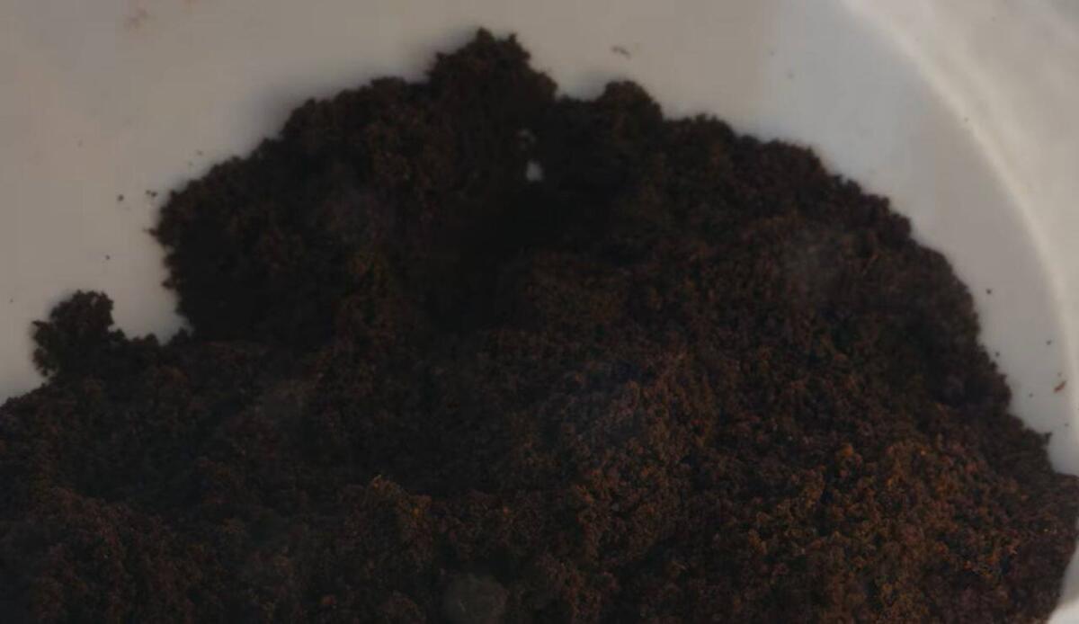 Imballaggi sostenibili: fondi di caffè e funghi reishi diventano un materiale resistente e biodegradabile - Fondi di caffè e terra (screenshot Boschi di Ogigia/YouTube) - www.energycue.it