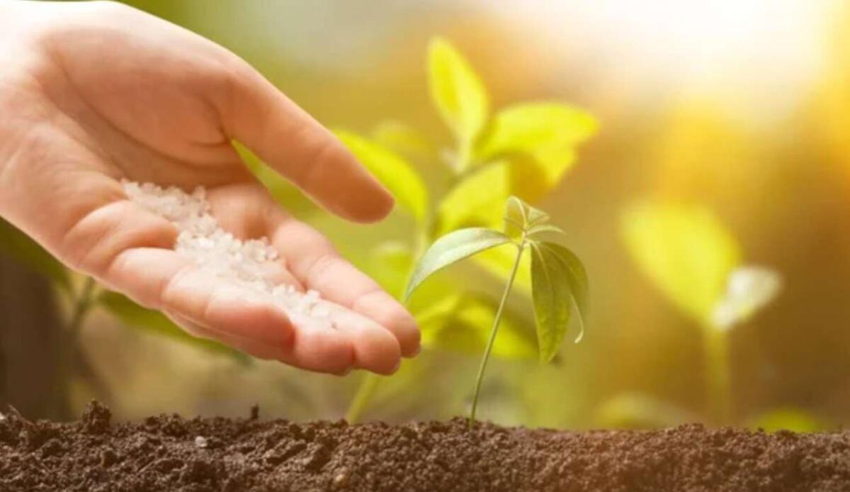 Una soluzione contro l’eccesso di fertilizzanti: perline di vetro riducono il rilascio di azoto nell’ambiente - Nuove frontiere sui fertilizzanti (Depositphotos foto) - www.energycue.it