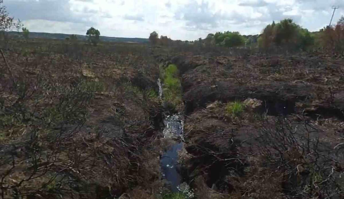 Gli incendi nelle torbiere del Regno Unito hanno rilasciato 800.000 tonnellate di carbonio in 20 anni - Post incendio torbiera (screenshot Kate Fromings Author/YouTube) - www.energycue.it