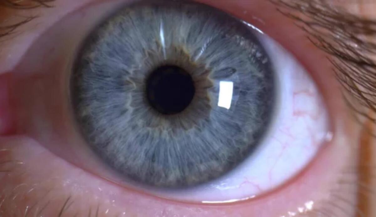 Il respiro regola la vista: la pupilla si contrae all’inspirazione e si dilata all’espirazione - Pupilla (Depositphotos foto) - www.biomedicalcue.it