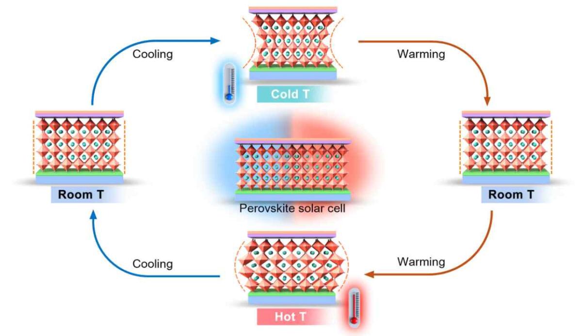 Celle solari a perovskite: lo stress termico è il principale nemico della stabilità a lungo termine - Esperimento sulle celle a perovskite (Li Guixiang foto) - www.energycue.it