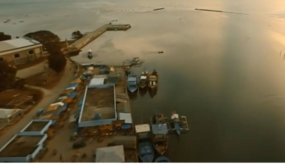 Cambiamenti climatici troppo rapidi possono causare il collasso degli ecosistemi, anche senza condizioni estreme - Cambiamenti climatici nelle Filippine (screenshot Terra!/YouTube) - www.energycue.it