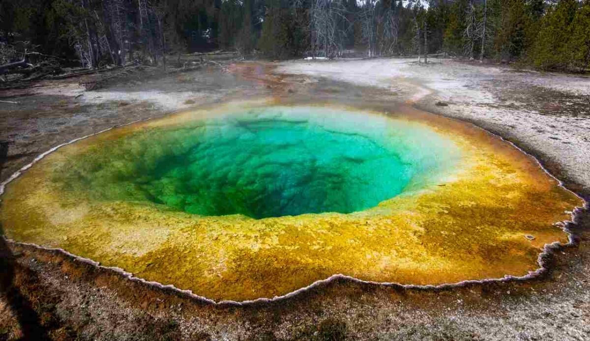 Evoluzione della vita: gli organismi di Yellowstone spiegano la transizione ad un'atmosfera ricca di ossigeno - Illustrazione di un laghetto a Yellowstone (Pexels FOTO) - www.sciencecue.it