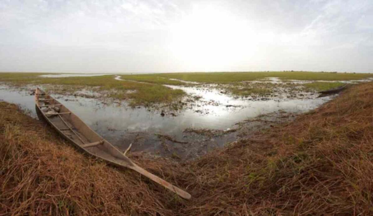 Ecosistema in pericolo: ogni settimana, i satelliti rivelano nuovi danni da petrolio Delta del Niger - Delta del Niger (Depositphotos foto) - www.marinecue.it