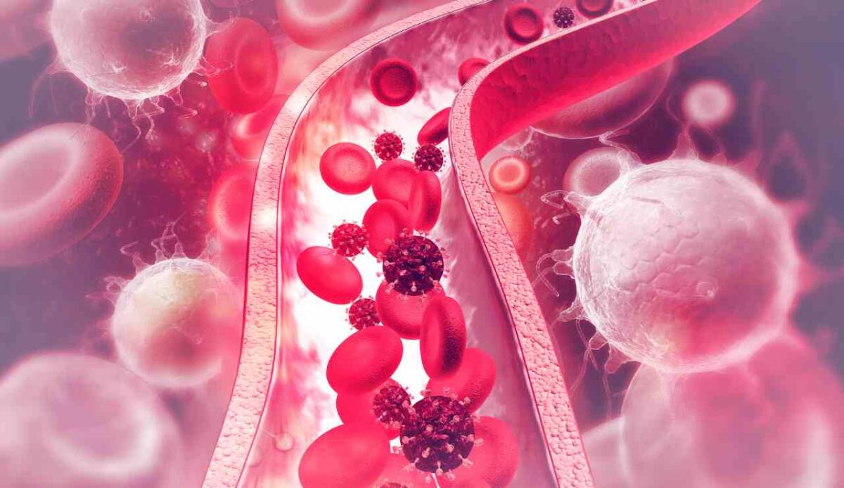 Il citomegalovirus potrebbe essere un fattore chiave nella necrotizzante enterocolite neonatale - Virus nel sangue (Canva foto) - www.biomedicalcue.it