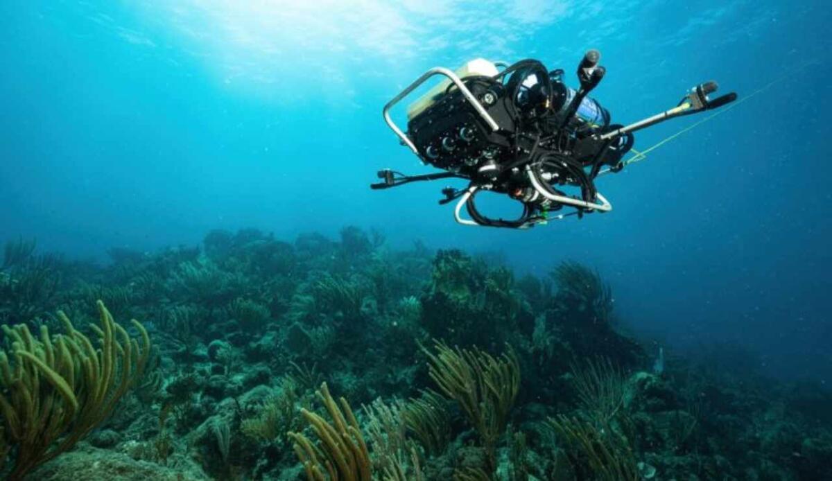 Monitoraggio marino hi-tech: una rete neurale decifra i suoni della barriera corallina in tempo reale - Barriera corallina, ecco il lavoro di alcuni ricercatori (publishing.aip.org) - MarineCUE