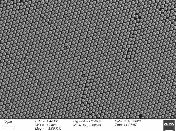 Immagine al microscopio elettronico di una superficie TENG con piccole perle (Ignaas Jimidar foto) - www.systemcue.it