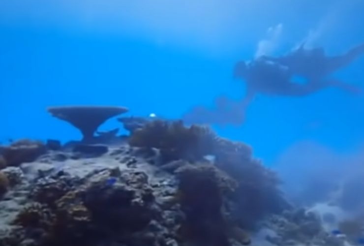 Cambiamenti climatici nell'oceano