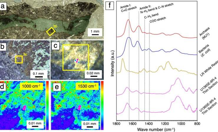 Nuovo metodo per analizzare forme di vita: ecco i risultati per Marte (u-tokyo.ac.jp) - AerospaceCUE
