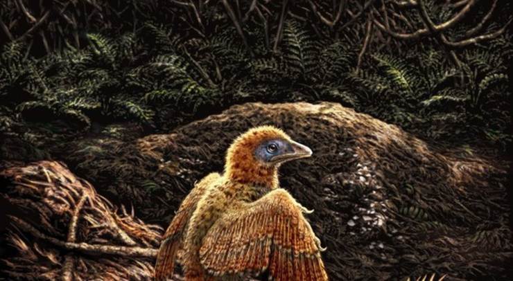 Illustrazione di un uccello preistorico (Pixabay foto) - www.sciencecue.it