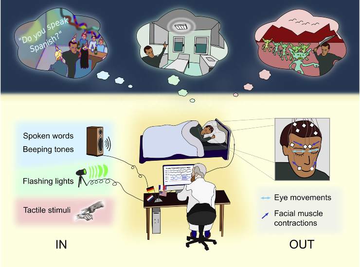 Illustrazione di come si è svolta la ricerca (Konkoli et al., 2021 FOTO) - www.biomedicalcue.it