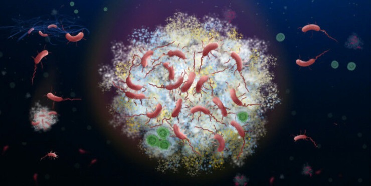 Illustrazione della vita microbica sottomarina (Freepik foto) - www.marinecue.it