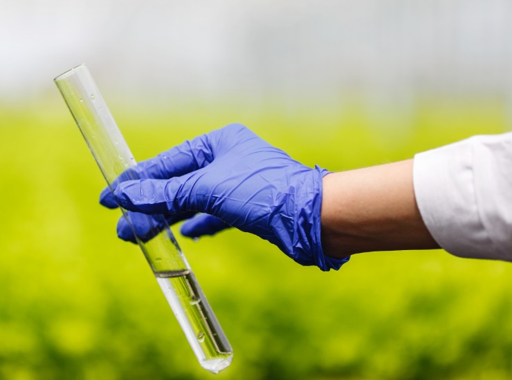 Fertilizzanti chimici