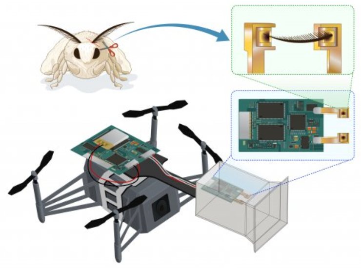 Drone che rileva gli odori (Shinshu University foto) - www.systemcue.it