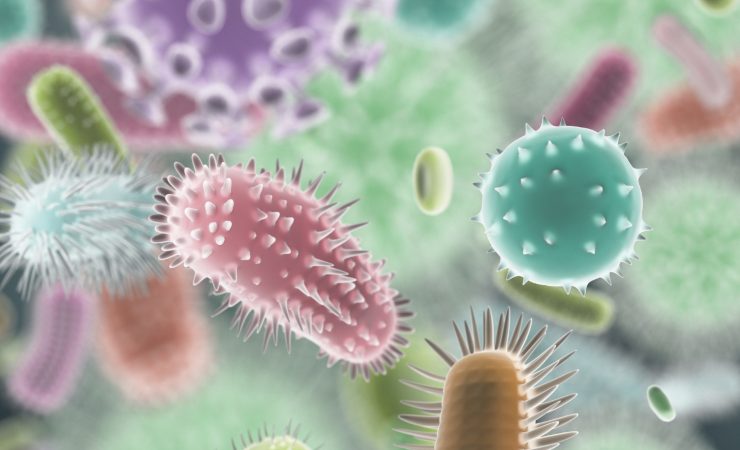 Virus (Canva foto) - www.biomedicalcue.it