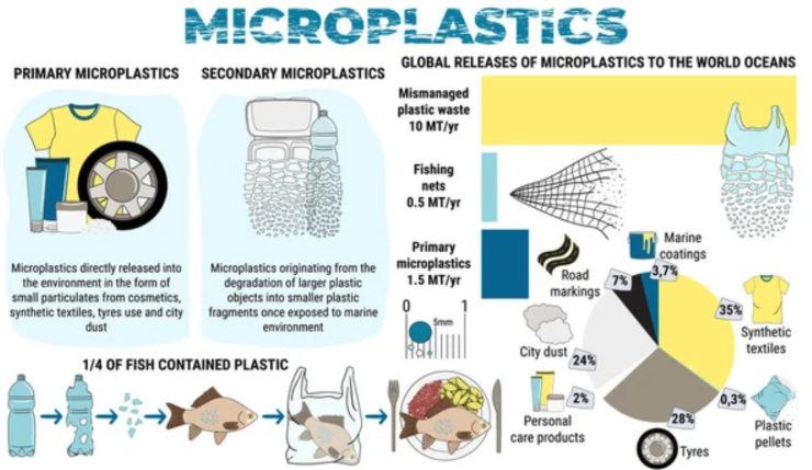 Infografica sulle microplastiche (Depositphotos foto)