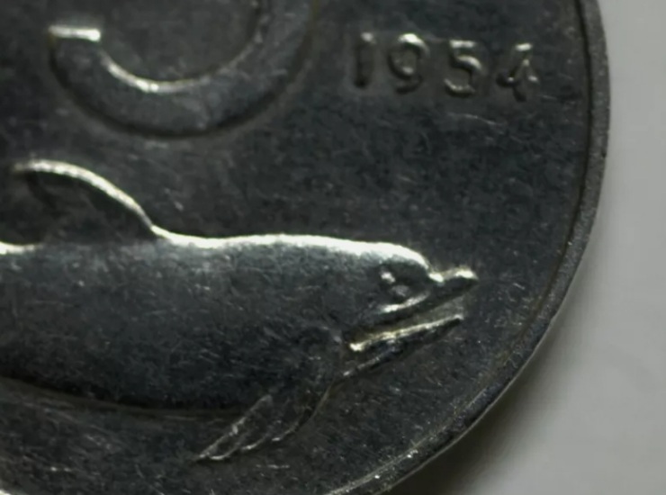 Monete con il delfino, ecco come funzionano (eBay Foto) - www.financecue.it